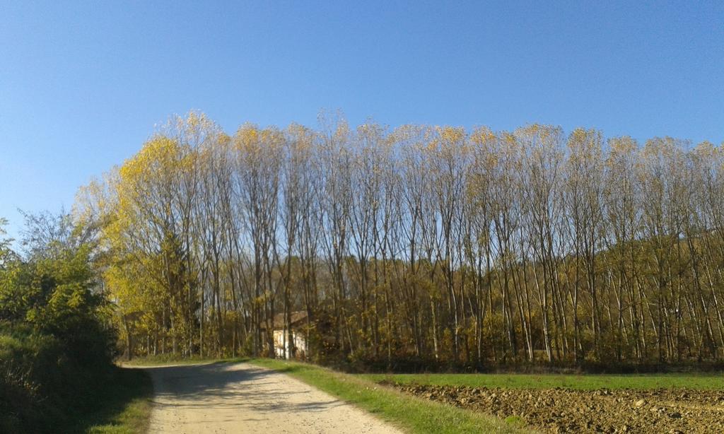 Vista Sul Patrimonio Dell'Unesco Cortiglione Buitenkant foto